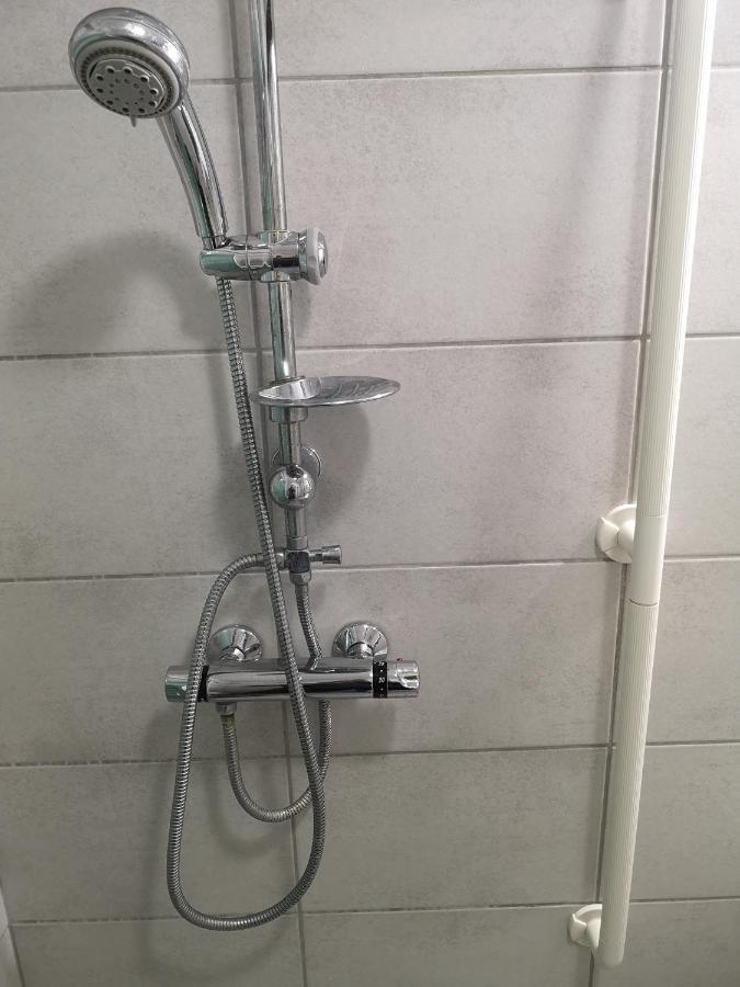Bel Appartement, Grand Balcon Et Parking Prive Selestat Ngoại thất bức ảnh
